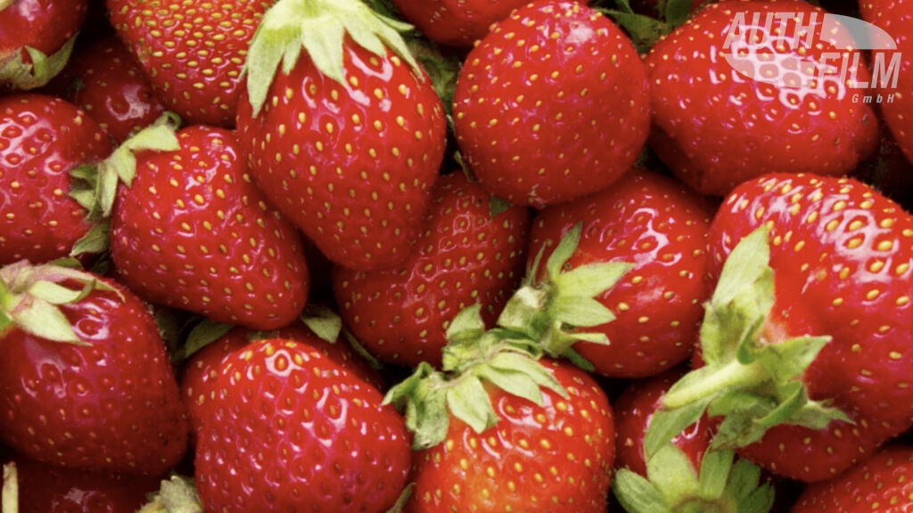 Ernähren